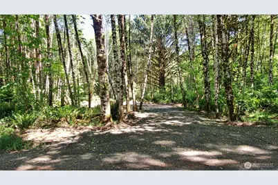 0 Nka North River Road, Cosmopolis, WA 98537 - Photo 4