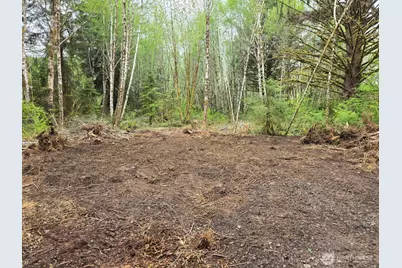 0 Nka North River Road, Cosmopolis, WA 98537 - Photo 6