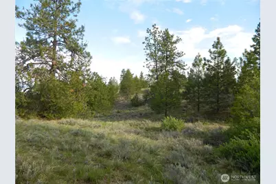 0 Tbd Rehmke Road, Tonasket, WA 98855 - Photo 1