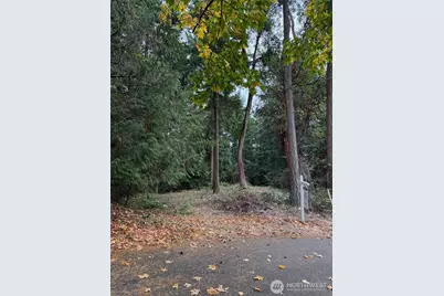 0 Nhn Hummingbird Lane, Anacortes, WA 98221 - Photo 2