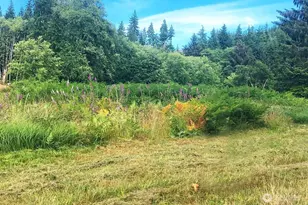 0 South Valley Ln, Naselle, WA 98638 - Photo 1