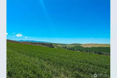 0 Lot 1 Biscuit Ridge Road, Walla Walla, WA 99362 - Photo 8