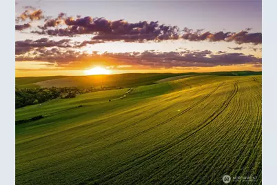 0 Lot 2 Biscuit Ridge Road, Dixie, WA 99329 - Photo 4