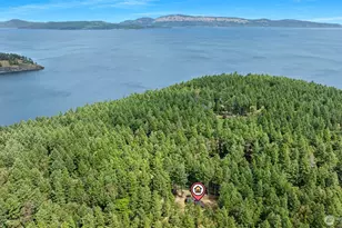 35 N Airport Way, Stuart Island, WA 98250 - Photo 24