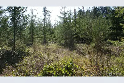 0 Winter Road, Winlock, WA 98596 - Photo 20