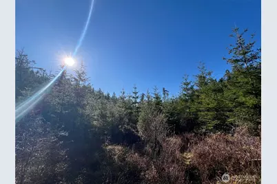 0 Winter Road, Winlock, WA 98596 - Photo 8