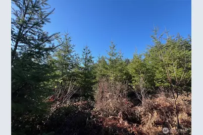 0 Winter Road, Winlock, WA 98596 - Photo 6