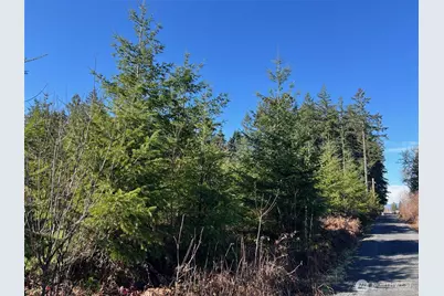 0 Winter Road, Winlock, WA 98596 - Photo 1