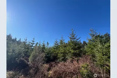 0 Winter Road, Winlock, WA 98596 - Photo 12