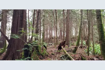 28 Xxx NE State Hwy 104, Kingston, WA 98346 - Photo 2