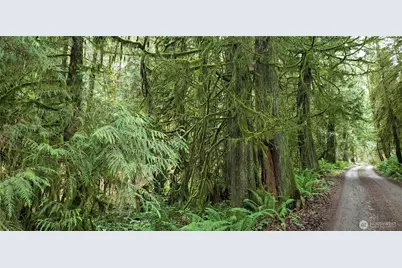 28 Xxx NE State Hwy 104, Kingston, WA 98346 - Photo 10