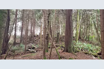 28 Xxx NE State Hwy 104, Kingston, WA 98346 - Photo 26