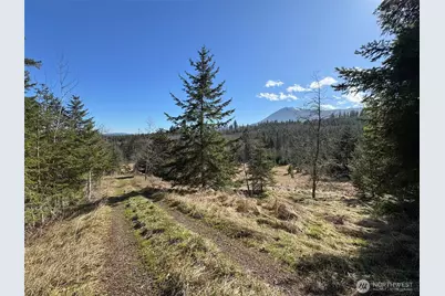 0 Nka Deer Park Road, Port Angeles, WA 98362 - Photo 12
