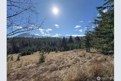 0 Nka Deer Park Road, Port Angeles, WA 98362 - Photo 18