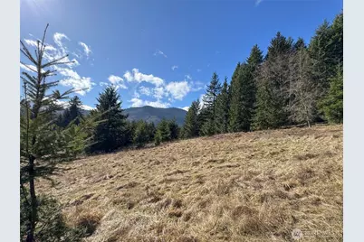 0 Nka Deer Park Road, Port Angeles, WA 98362 - Photo 20