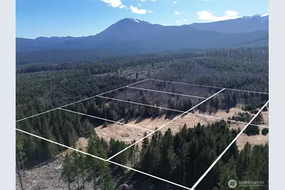 0 Nka Deer Park Road, Port Angeles, WA 98362 - Photo 8