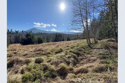 0 Nka Deer Park Road, Port Angeles, WA 98362 - Photo 26