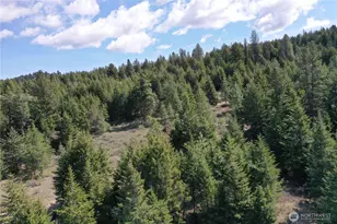 65A Spring Meadow Ln, Oroville, WA 98844 - Photo 16