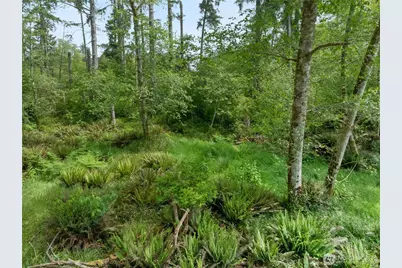 958 Washoe Court SE, Ocean Shores, WA 98569 - Photo 2