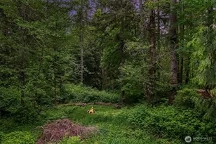 19603 238th Ave NE, Woodinville, WA 98077 - Photo 38