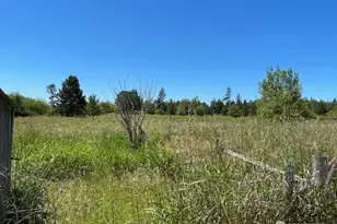 320 Pine Tree Rd, Toledo, WA 98591 - Photo 4