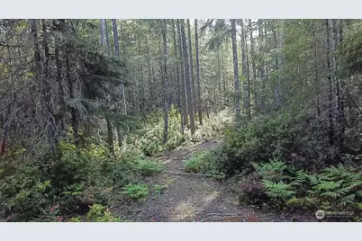 230 E Blackberry Lane, Union, WA 98592 - Photo 14