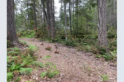 230 E Blackberry Lane, Union, WA 98592 - Photo 12