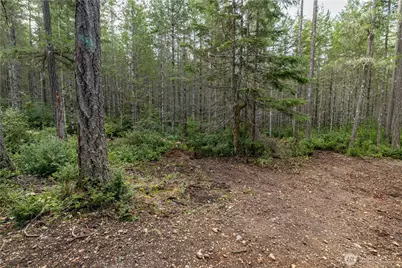 230 E Blackberry Lane, Union, WA 98592 - Photo 4
