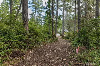 230 E Blackberry Lane, Union, WA 98592 - Photo 8