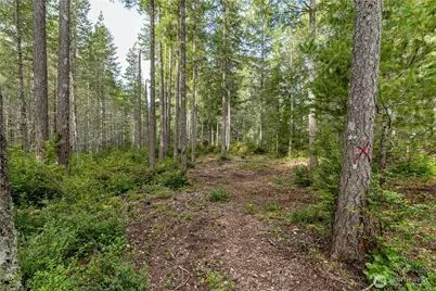 230 E Blackberry Lane, Union, WA 98592 - Photo 6