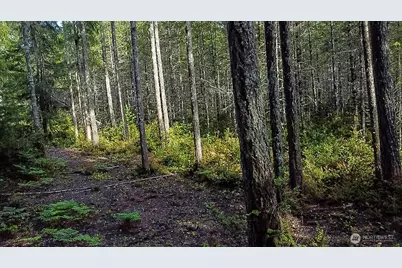 230 E Blackberry Lane, Union, WA 98592 - Photo 16