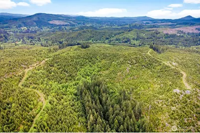 4 Parpala Road #4, Naselle, WA 98638 - Photo 2