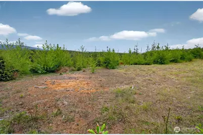 4 Parpala Road #4, Naselle, WA 98638 - Photo 8