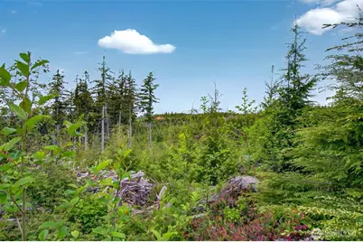 4 Parpala Road #4, Naselle, WA 98638 - Photo 16