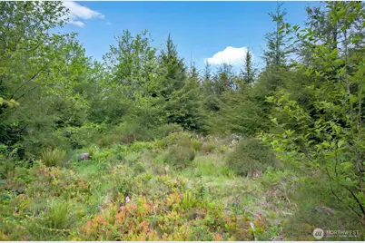 5 Parpala Road #5, Naselle, WA 98638 - Photo 10