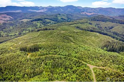 5 Parpala Road #5, Naselle, WA 98638 - Photo 2