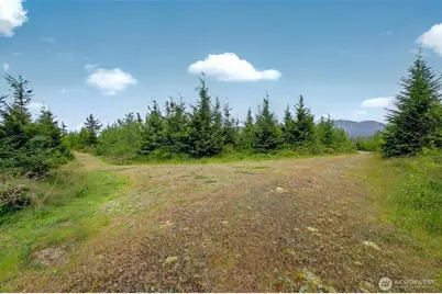 5 Parpala Road #5, Naselle, WA 98638 - Photo 1