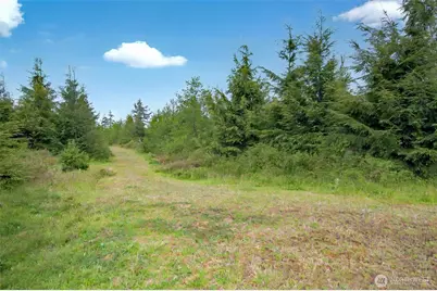 5 Parpala Road #5, Naselle, WA 98638 - Photo 12