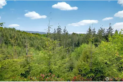 5 Parpala Road #5, Naselle, WA 98638 - Photo 14