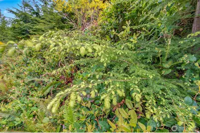 1 Parpala Road #1, Naselle, WA 98638 - Photo 6