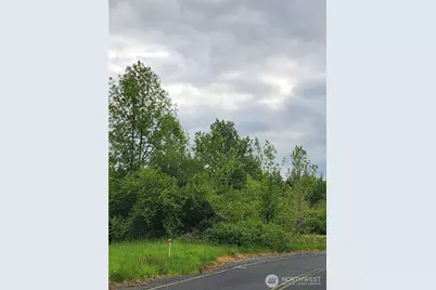 0 Henriot Road, Toledo, WA 98591 - Photo 4