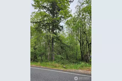 0 Henriot Road, Toledo, WA 98591 - Photo 4