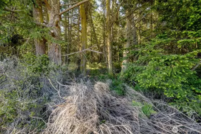 0 Channel Road, Lopez Island, WA 98261 - Photo 14