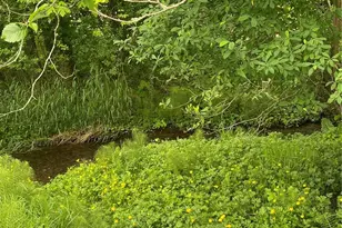 1050 Howard St, Raymond, WA 98577 - Photo 18