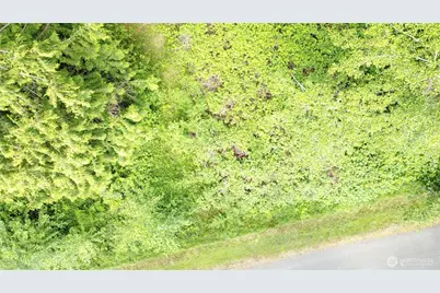 99 A Port Susan Drive, Hat Island, WA 98206 - Photo 2