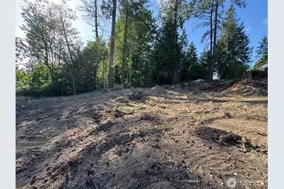 0 E Panorama #Lot15, Shelton, WA 98584 - Photo 2