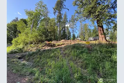 0 E Panorama #Lot15, Shelton, WA 98584 - Photo 18