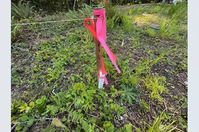 0 E Panorama #Lot15, Shelton, WA 98584 - Photo 8