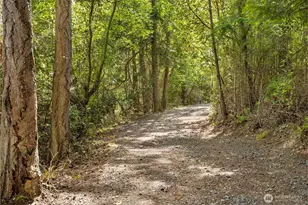 375 De Haro Ln W, Friday Harbor, WA 98250 - Photo 30