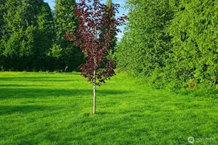 3618 Pennsylvania St, Longview, WA 98632 - Photo 1